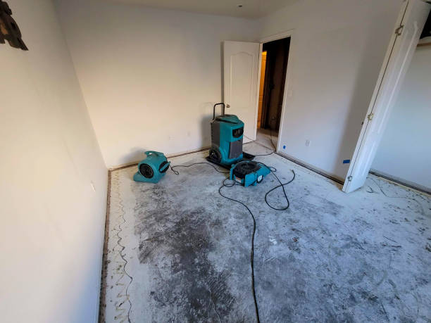 Best Basement water damage restoration  in Dothan, AL